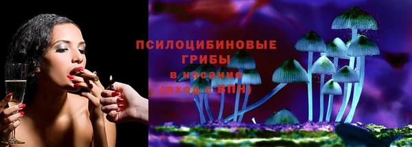2c-b Богородицк