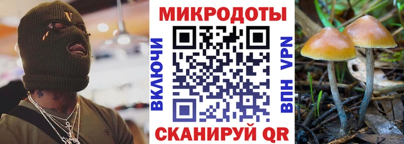 Галлюциногенные грибы Cubensis  Мелеуз 